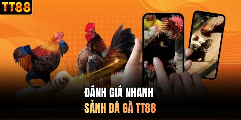 Đánh giá nhanh sảnh đá gà TT88