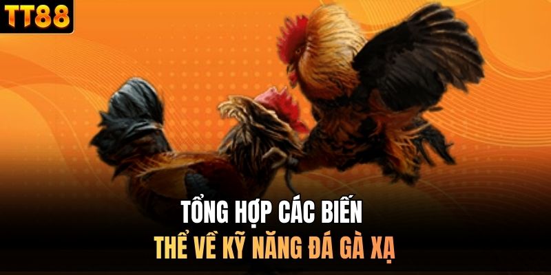 Tổng hợp các biến thể về kỹ năng đá gà xạ